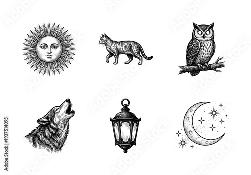 Vintage celestial and animal engraving collection featuring mystical sun, moon, howling wolf, cat, owl, and ornate lantern in black and white line art style.
