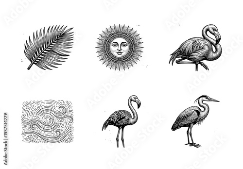 Vintage engraving collection of tropical elements featuring flamingos heron palm leaf celestial sun and ocean waves in woodcut style