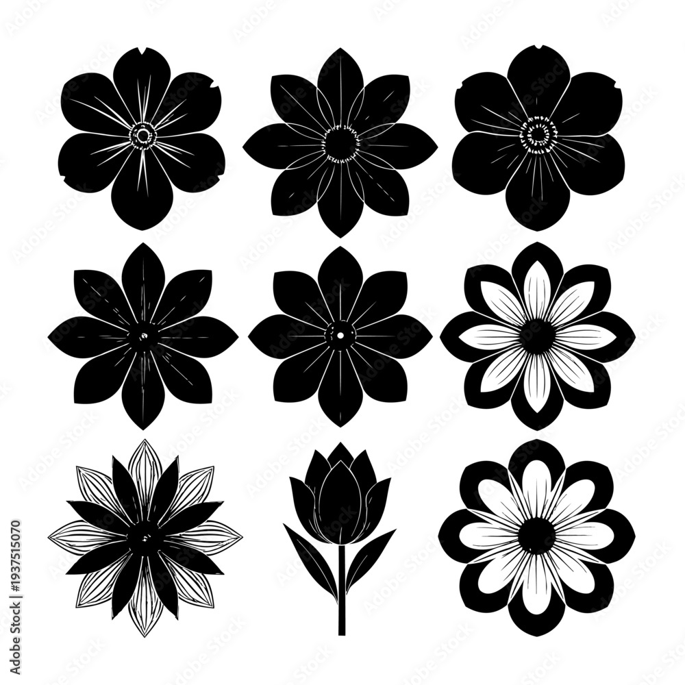 Obraz premium Collection of Black and White Flower Illustrations.