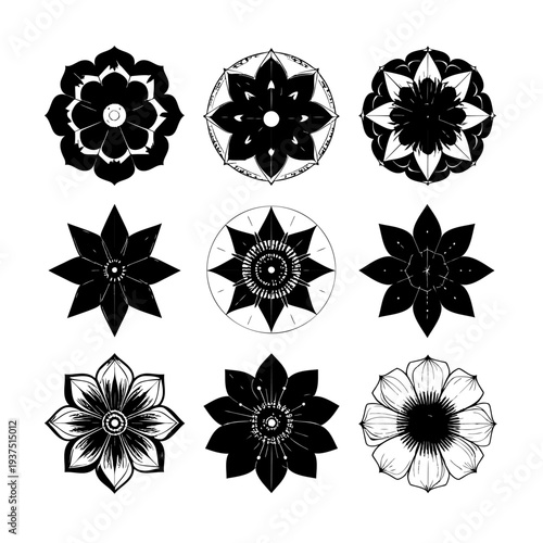 Collection of Black and White Floral Designs 2.