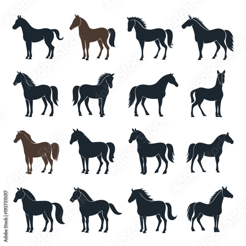 Horse silhouette variations standing on white, clean vector art
