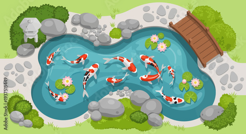 Koi pond with bridge and water lilies