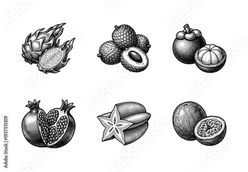 Collection of exotic tropical fruit illustrations featuring dragon fruit lychee mangosteen pomegranate starfruit and passion fruit in a detailed vintage woodcut style