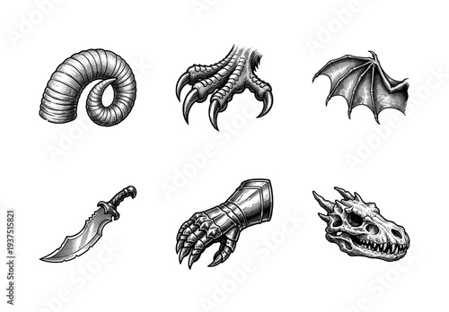 Set of fantasy elements and dragon anatomy parts in vintage monochrome engraving style