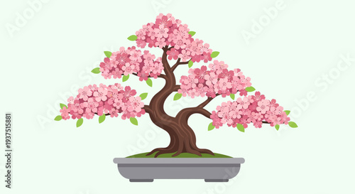 Pink Cherry Blossom Bonsai Tree