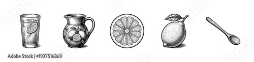 Set of vintage woodcut style illustrations featuring fresh lemonade ingredients including a glass pitcher whole citrus and a wooden spoon