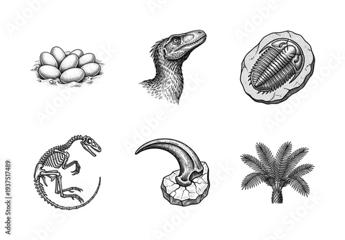 Vintage engraving style paleontology collection featuring dinosaur fossils, raptor head, trilobite, eggs, predatory claw, and prehistoric plant illustrations