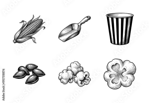 Popcorn and corn cob set in vintage woodcut style featuring kernels scoop and striped snack bucket illustrations.