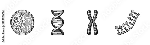 Vintage engraving style biotechnology and genetic engineering icons featuring a circuit cell, DNA double helix, chromosome, and nucleotide sequence.