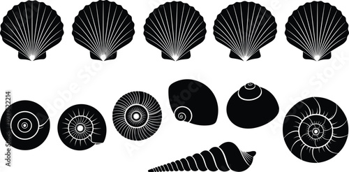 Vintage Seashell Silhouette Vector Illustration Set Featuring Scallop Snail and Spiral Shells for Marine Coastal Nature and Ocean Beach Decor