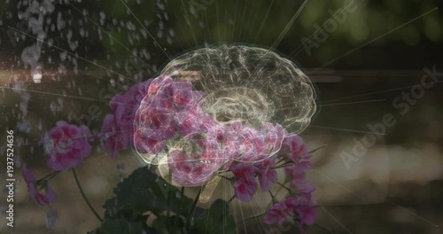 Water spray starting, sheer brain overlay brightening, neural patterns glowing, showing petal sync