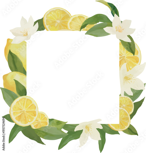 Watercolor Citrus and Flower Border Vector Illustration