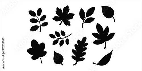 Assortment of Autumn Leaf Silhouettes in Various Shapes fall nature