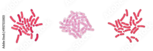 Foto Mycobacterium tuberculosis bacteria isolated on white background, tuberculosis b