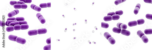 Photos Klebsiella pneumoniae bacteria isolated on white background, klebsiella pneumoni