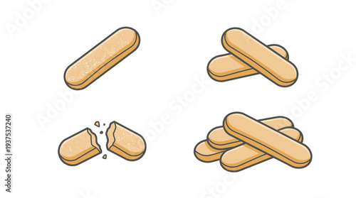 Set of ladyfinger biscuits vector illustration featuring single, crossed, stacked, and broken pieces with crumbs for baking and dessert design elements.