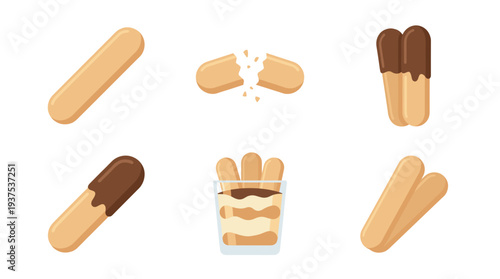 Flat vector design of ladyfinger biscuits, showing plain and broken savoiardi, chocolate dipped sponge cookies, and a sweet tiramisu dessert glass.