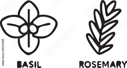 Basil and Rosemary Herb Illustration 1.