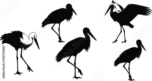 Scary cartoon zombie boy with pink afro hair and punk zombie friend with blue mohawk hair, undead monster characters vector illustration for halloween.