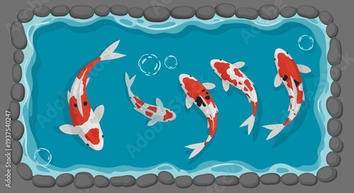 Koi Fish Swimming in Pond