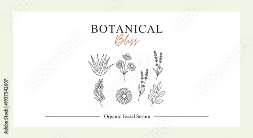 Botanical skincare product label with organic facial serum illustrations.