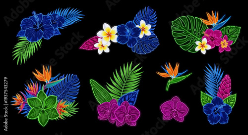 Vibrant Tropical Floral Designs and Leaves on Black Background.