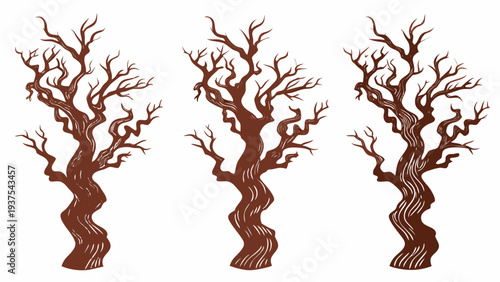 Three stylized brown trees with winding branches and textured trunks