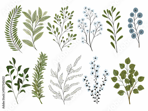 Collection of delicately illustrated botanical branches and leaves in varying shades