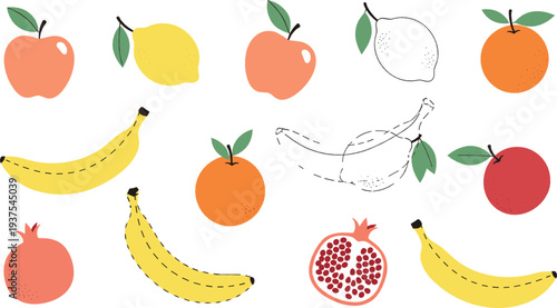 Colorful hand drawn fruit illustration set with apples bananas oranges lemons and pomegranate in playful flat and outline mixed style