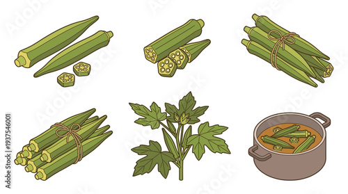 Ladyfinger vector set featuring fresh green pods, sliced pieces, tied bunches, plant leaves, and hot soup in a pot. Healthy organic vegetable agriculture cooking illustration.