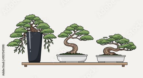 Three bonsai trees on a shelf
