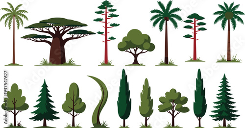 Collection of various green trees and palm trees isolated on white background, flat vector illustration set of forest and tropical plants for design