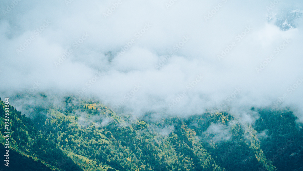 Fototapeta premium Professional landscape photography capturing a lush mountain forest with vibrant autumn foliage, shrouded in ethereal mist, in the Sichuan-Xizang border region of Garze, Sichuan, China. This serene hi