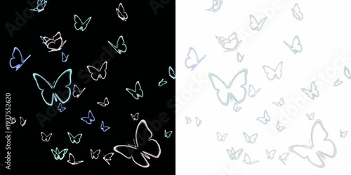 Fotografie Floating luminous butterflies silhouette isolated on black background, glowing b