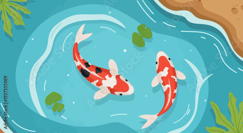 Koi Fish Pond