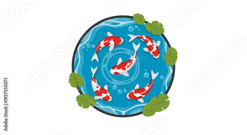 Koi fish swimming in a pond