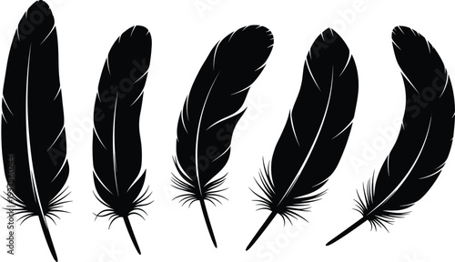 Set of black bird feather silhouettes vector illustration in various shapes and curves for natural decoration and writing