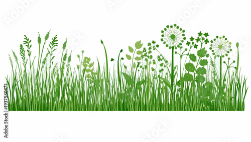 A vibrant lush border of various green grasses and wildflowers