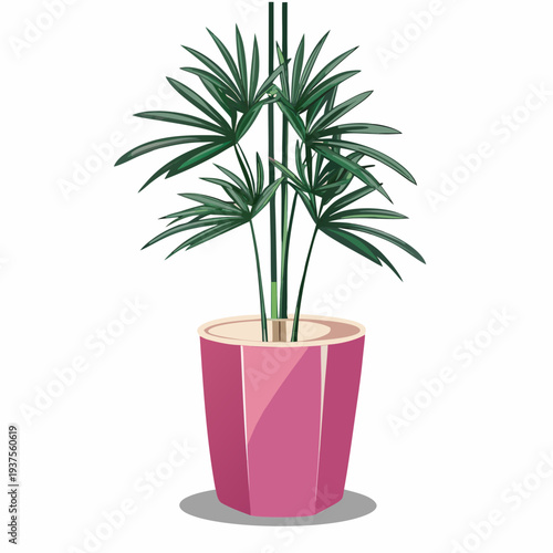 A vibrant illustration of a parlor palm in a pink pot