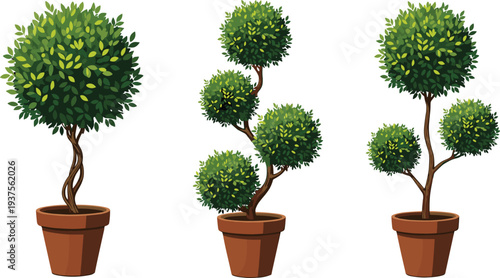 Decorative topiary trees in terracotta pots isolated on white background, realistic green garden plant vector illustration set for landscaping, home decor, and branding design