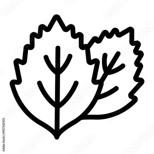 Mint leaf Line Icon