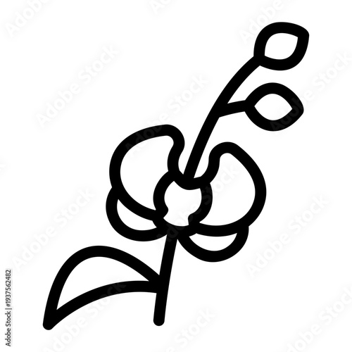 Orchid flower Line Icon