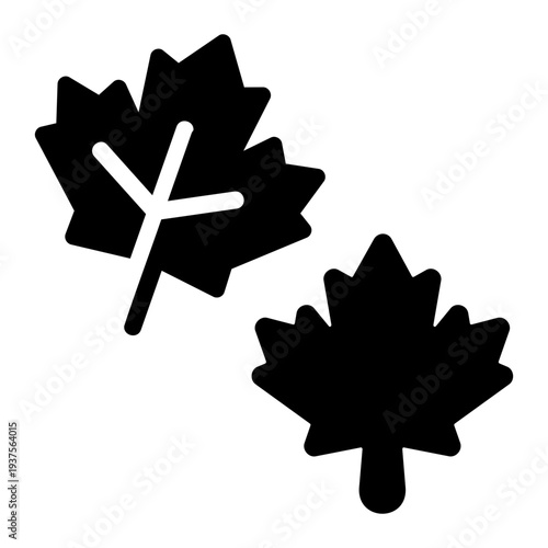 Maple leaf Solid icon