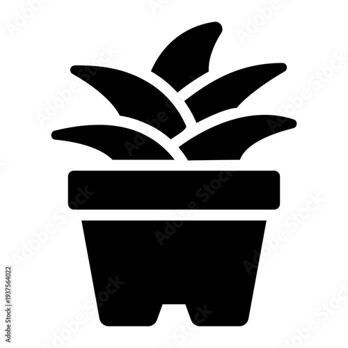 potted succulent Solid icon