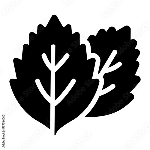 Mint leaf Solid icon