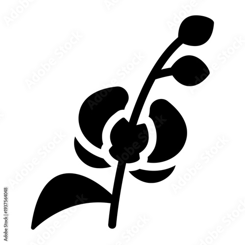 Orchid flower Solid icon
