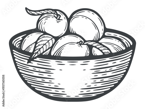 Full bowl of peaches, black and white illustration, engraving isolated