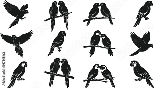 Black Silhouette Vector Icon Set of Parrots and Macaws Including Flying Birds Couples Perched on Branches and Individual Tropical Exotic Bird Profiles