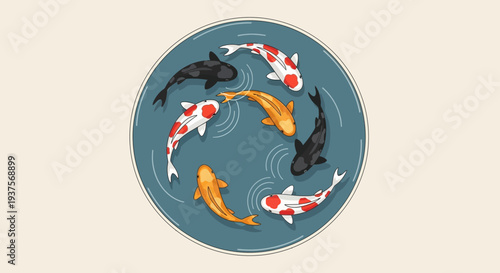 Koi Fish Swimming in Circle