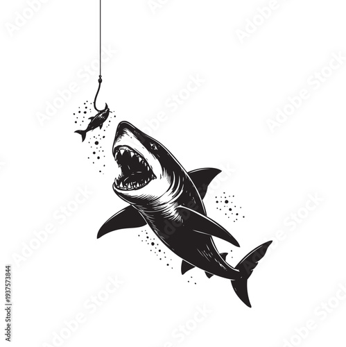 Shark Eating little fish in fishing bait